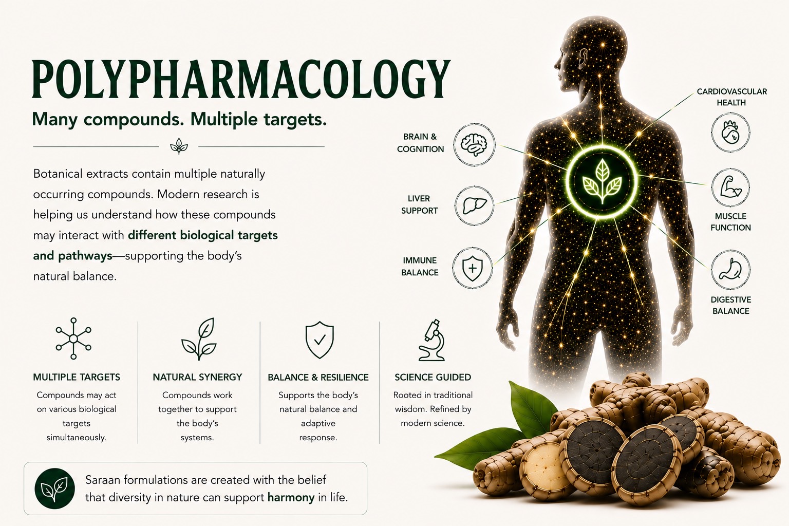 Polypharmacology — many compounds, multiple targets: an illustration of botanical compounds interacting with multiple biological pathways